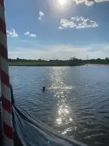 Новое Волосово - 96