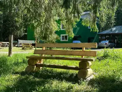 Сосновый берег - 20