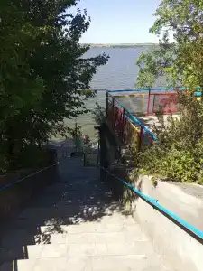 Каштан - 3