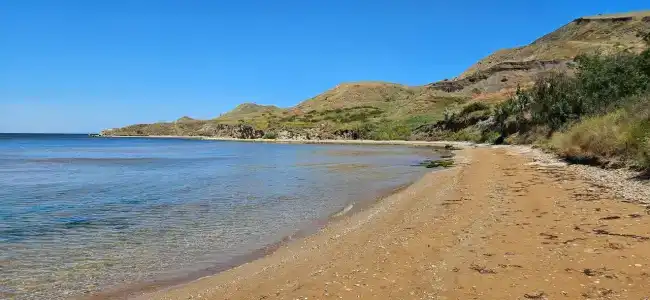 Амбассадор - 26