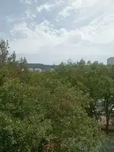 Баргузин - 31