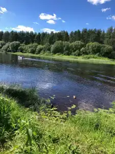 Устьяны - 28