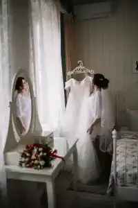 Снегири - 15