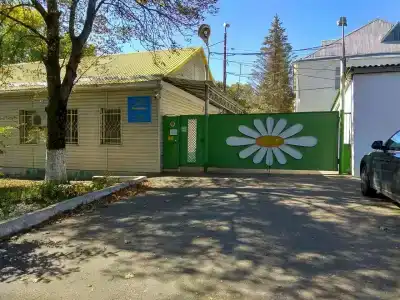 Ромашка - 15