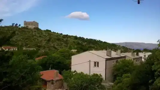 Ruža - 3