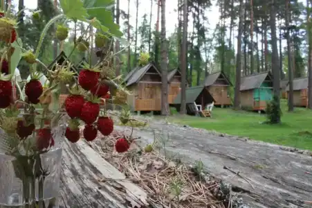 Новый Горизонт - 9