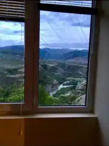 Пение птиц - 1