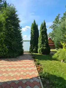 Снегири - 3