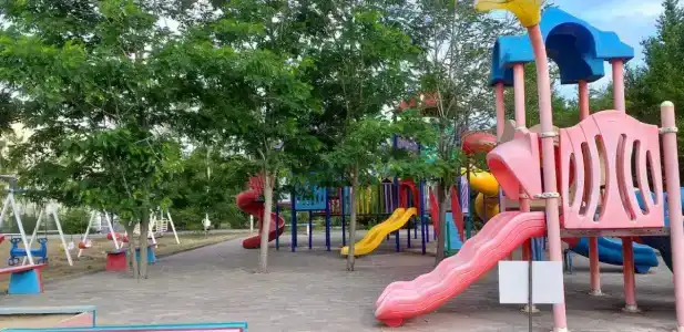 Феникс - 20
