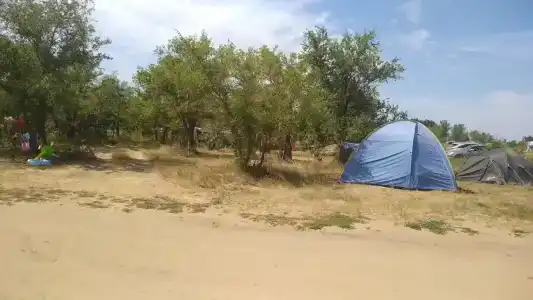 Причал 55 - 12