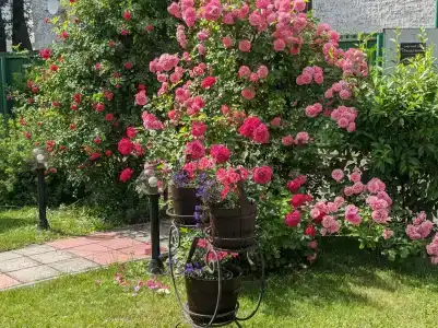 Тихая Гавань - 73