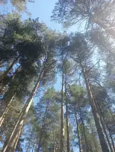 Звездный - 7