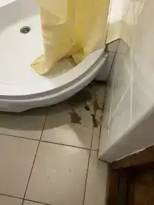 Фатима Корпус 2 - 88