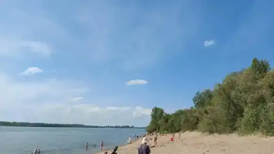Дружба - 20