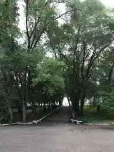 Тагарское - 22