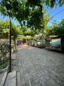 Лейла - 22