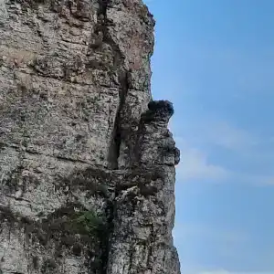Пимеко - 4