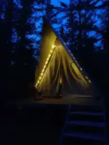 Мир Алтай - 22