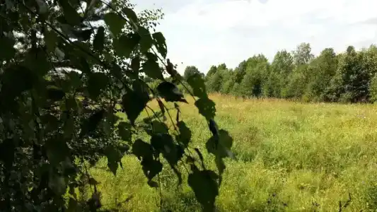 Валерина Усадьба - 39