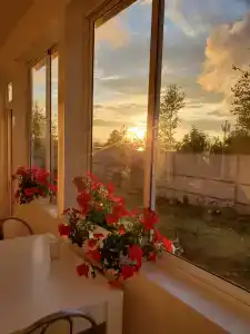 Коди Ярви - 37