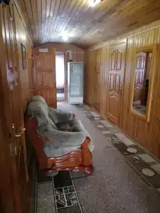Калина красная - 6