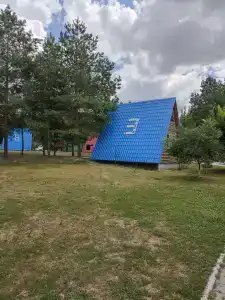 Дон - 20