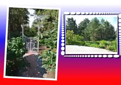 Моховое - 22