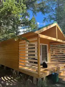 Forest camp - 6