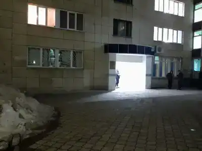 КАМАЗ - 33
