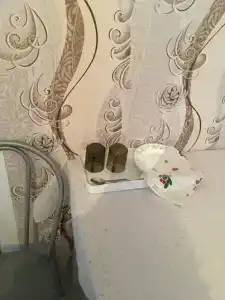 Виноградная лоза - 2