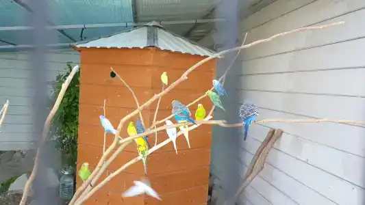 Riga Village Resort - 36