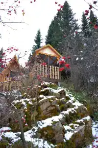 Таёжные дали - 21