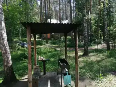 Лесовичок - 17
