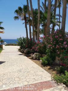 Akti Beach & Village Resort - 99