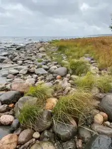 Самая Ладога - 85