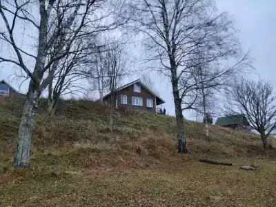 Тихий берег - 40