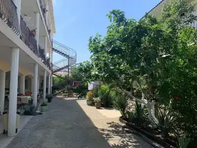 Амир-Дани - 40