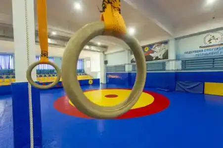Спорт - 3