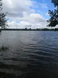 Подвязье - 6