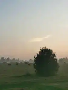 Живой источник - 40