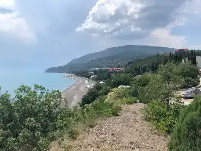 Багира - 77