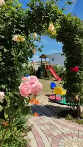 Альбатрос - 63