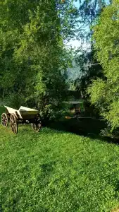 Вершина Алтая - 15