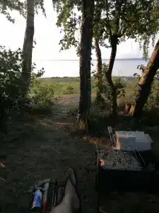 Поляна - 36