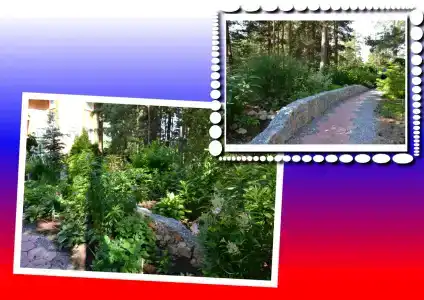 Моховое - 33