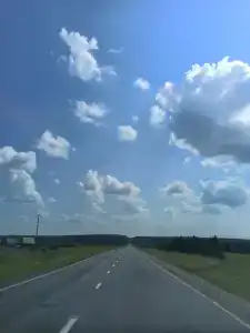 Причал 55 - 31