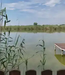 Южная - 21