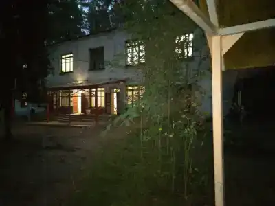 Сосновый бор - 12