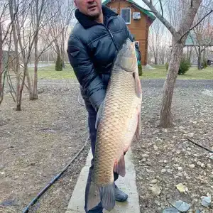 Мечта - 28