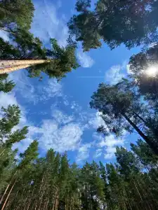 Солнечная заимка - 0